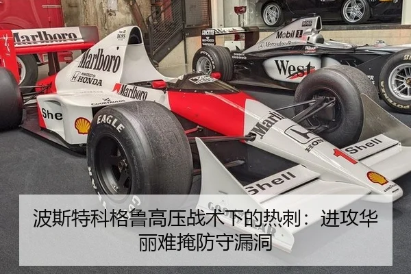 bo-si-te-ke-ge-lu-gao-ya-zhan-shu-xia-de-re-ci-jin-gong-hua-li-nan-yan-fang-shou-lou-dong-3-305.jpg