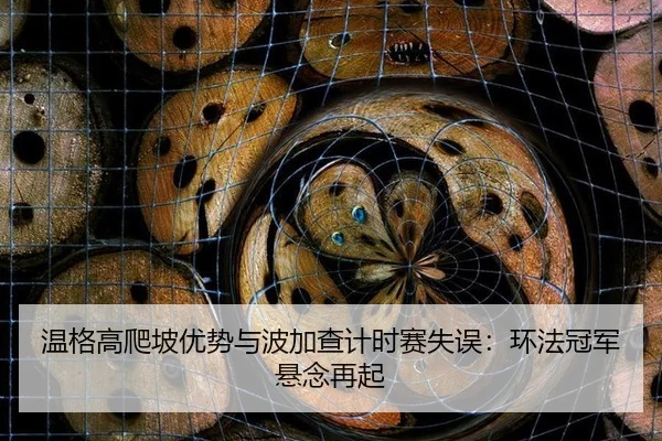 wen-ge-gao-pa-po-you-shi-yu-bo-jia-cha-ji-shi-sai-shi-wu-huan-fa-guan-jun-xuan-nian-zai-qi-2-869.jpg
