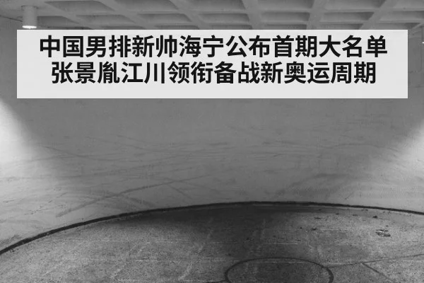 中国男排新帅海宁公布首期大名单张景胤江川领衔备战新奥运周期