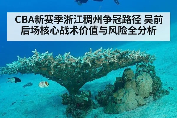 CBA新赛季浙江稠州争冠路径 吴前后场核心战术价值与风险全分析